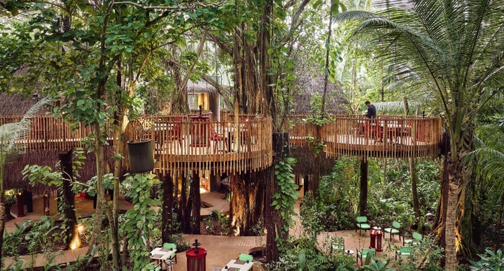 Nest · Treetop · Asian